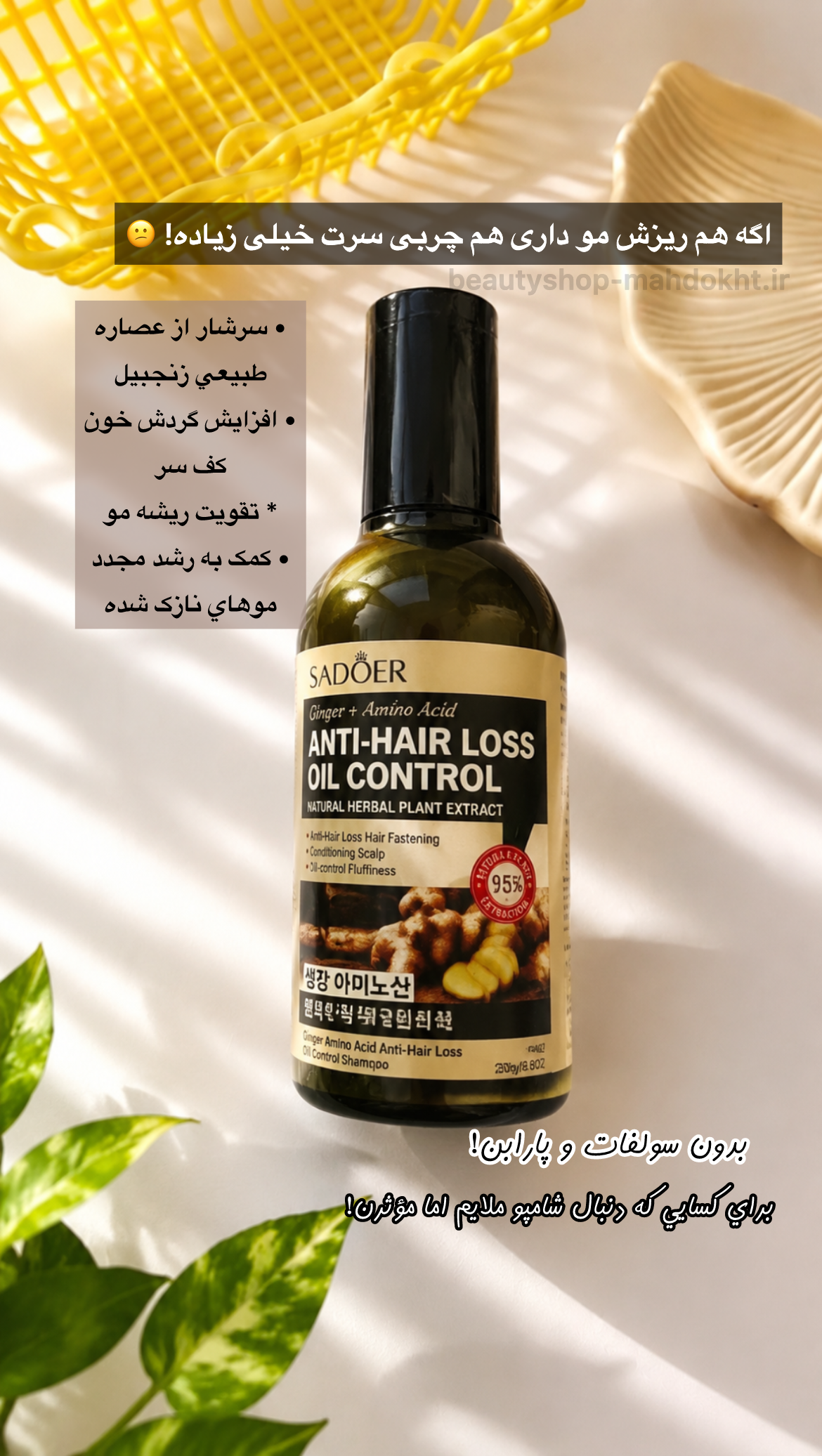 شامپو ضدریزش و کنترل کننده چربی سر زنجبیل سادور 💯 اصلی