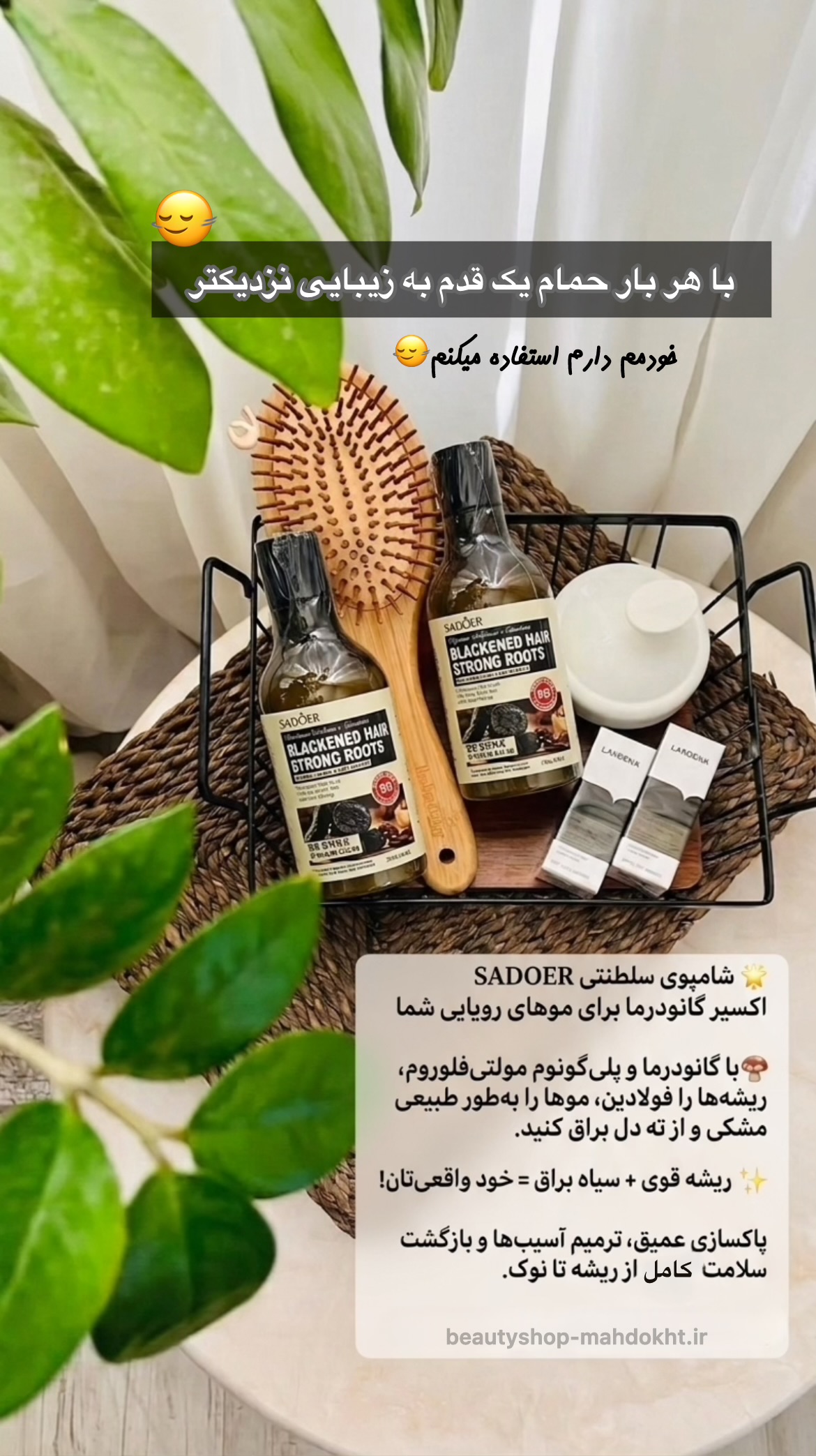 شامپو گانودرما (تیره و سیاه کننده تار مو)حجم ۲۵۰ گرمی 💯 اصلی🍄‍🟫